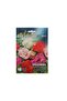 Balsamina Mixed Seeds - 5