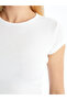 Crew Neck Women's Crop (S5) - 3