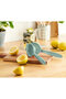 Lemon Squeezer