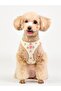 Ida Adjustable Chest Harness - 7