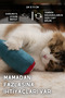 Legendary Edible Cat Toys Set (Dino + Fish) - 4