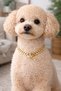 Gold Plated Steel Chain Dog Collar 50 cm – Dog Collar with Heart Charm Detail - 2