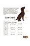 Classic Dog Harness Set Includes Anti-Pull/Breathable Fabric/Walking Strap - 5