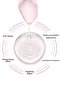 100% Natural Rose Water 150 ml - 2