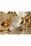 Sea Shell Jewelry Organizer