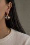 Steel Rose Gold Sirkumcisions Pattern Asymmetrical Form Florence Earrings -Not Tarnish- - 2
