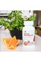 Absorbent-C Vitamin 100 Tablet