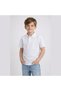 Men's Premium Lacoste School Style Cotton Seasonal Color Assorted Collared Short Sleeve T-Shirt - 2