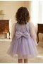 Lilac Long Tulle Sleeve Tutu Baby Girl Dress - Cinderella - 5