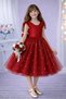Girl's Red Ruffle Sleeve Pearl Dress Graduation Birthday Special Occasion Evening Dress