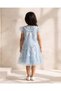 Girls Blue Embroidered Top With Tulle Skirt Set - 3