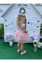 Pink Color Glittering Ribbon Detailed Zippered Lined Tulle Skirt Holiday Dress for Girls - 6