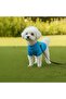 Cat - Dog Ribbed Knit Stretchy Transitional Jacket - Coat - Raincoat - Vest - Clothing - 4