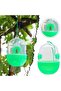 Reusable Outdoor Wasp Hanging Fly Trap Catcher Beekeeping Catcher Cage Equipment Tools Hornet Pes... - 4