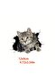 Ultra Small [Popular Choice] 3D Cars, SUVs, Motorcycles and Laptop Cat Stickers - Scratch Resistant - 2