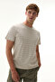 Men's Beige Striped Crew Neck T-Shirt