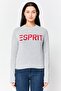 Women Crew Neck Brand Logo Sweater, Grey