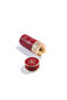 ROUGE ALLURE 100ML EDP - 2