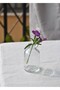 2 Pieces Mini Glass Vase 50 ml Coffee Side Tiny Vase 7 cm Presentation - 3