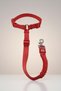 Pet Car Seat Belt Dog Car Seatbelt Car Auto Accessory Cat Dog Safety Belt - 6