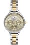 Dk013848B-05 Women's / Girls' Wristwatch
