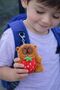 Kapibara Plush Green Sulfate Cute Keychain Red Strawberry Capybara Kapip Labubu Toy Lover - 3