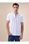 Solid Brand Logo Zipper Closure Regular Fit Polo T-shirt