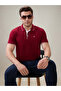 Solid Brand Logo Regular Fit Ruby Wine Polo T-shirt - 6