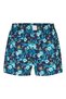 Boxer Classics - 2