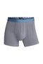 Boxer Basic Trunk Organic - 7