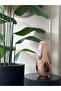 Imported Glass Vase