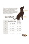 Jean Dog Chest Harness Set Anti-Pull/Breathable Fabric/Walking Strap Included - 5