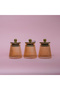 Rose Deluxe Glass 3-Piece Spice Set - 3