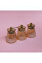 Rose Deluxe Glass 3-Piece Spice Set - 4