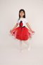 23 April Show Outfit Girls' Ladybug Skirt T-Shirt Set - 4