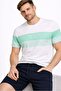 Cotton Short Sleeve Round Neck T-Shirt