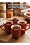 Ceramic Mug Set 4 pcs set-2 tone Red - 6