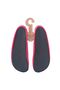 Fuchsia - 4