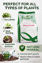 Natural Perlite 10L | Premium Soil Aeration & Drainage Additive for Indoor Plants. - 4