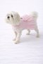 Cat - Dog Summer 100% Cotton Poplin Dress - Clothing - T-Shirt - 7