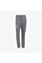 Mercedes Amg Petronnas Men's Gray Sweatpants - 4