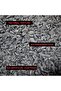 Roasted Sunflower Seed (Fresh) 200g - 2