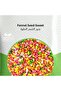 Premium Fennel Seed (Sweet) 400g - 4