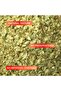 Fresh Oregano 100g - 3