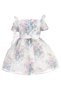 Girl Child 3-7 Years Bow Detail Floral Print Chiffon Dress Ecru - 4