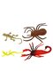Reptiles and Insects in Bags - 4