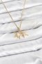 316L Steel Chain Gold Color Starfish Model Zircon Stone Women's Necklace