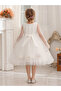 Lace Cape Sleeve Mesh Fit and Flare Dress - 8