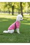 Cat - Dog Ribbed Knit Stretchy Transitional Jacket - Coat - Raincoat - Vest - Clothing - 5