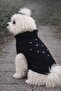 Dog Knitted Poncho – Stylish Dog Outfit with Button Detail